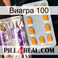 Виагра 100 new12